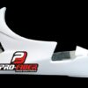 Kawasaki_ZX6_2009_race_lower_fairing