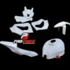 Fiberglass_full_complete_Kawasaki ZX10R_2011